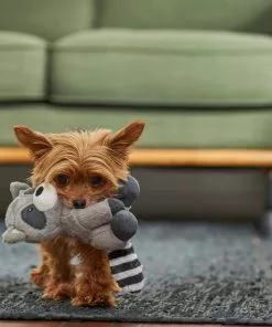 Frisco Camping Raccoon Plush Squeaky Dog Toy -The Frisco Store 271003 PT3. SY630 V1625009242