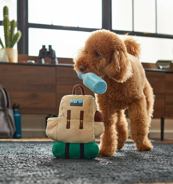 Frisco Camping Backpack Plush Squeaky Dog Toy 5 Frisco Camping Backpack Plush Squeaky Dog Toy - Image 3