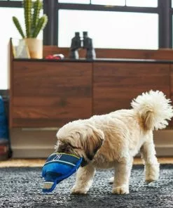 Frisco Camping Canteen Plush with Rope Squeaky Dog Toy -The Frisco Store 271022 PT3. SY630 V1625009237