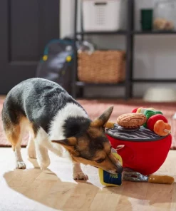 Frisco Camping BBQ Grill Hide & Seek Plush Squeaky Dog Toy -The Frisco Store 271026 PT3. SY630 V1625009150