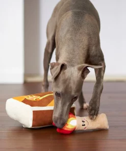 Frisco Camping Match Box 2-in-1 Plush Squeaky Dog Toy -The Frisco Store 271029 PT3. SY630 V1625008996