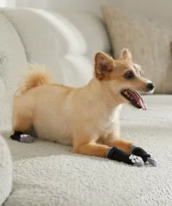 Frisco Non-Skid Dog Socks, Black -The Frisco Store 272491 PT8. SY630 V1634830475