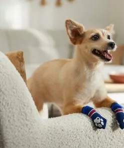 Frisco Non-Skid Navy Dog Socks, Red & White Stripe -The Frisco Store 272499 PT8. SY630 V1634830361