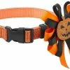 Frisco Orange Glitter Dog Collar with Pumpkin Ribbon -The Frisco Store 272844 MAIN. SY630 V1624047756