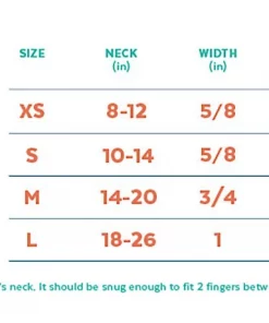 Frisco Orange Glitter Dog Collar with Pumpkin Ribbon -The Frisco Store 272844 PT1. SY630 V1625665565