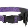 Frisco Purple Bat Wing Dog Collar with Wings -The Frisco Store 272852 MAIN. SY630 V1624046568