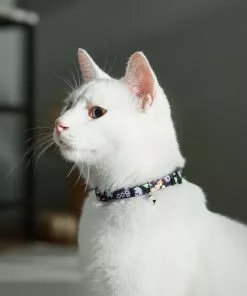 Frisco Flying Ghosts Cat Collar -The Frisco Store 272888 PT8. SY630 V1623879659