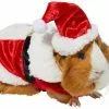 Frisco Santa Claus Guinea Pig Costume, One Size -The Frisco Store 276178 MAIN. SY630 V1631302691