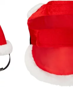 Frisco Santa Claus Guinea Pig Costume, One Size -The Frisco Store 276178 PT5. SY630 V1631303129