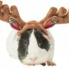Frisco Holiday Antlers Guinea Pig Headpiece