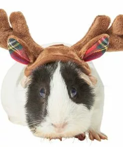 Frisco Holiday Antlers Guinea Pig Headpiece