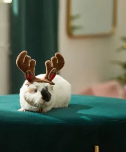 Frisco Holiday Antlers Guinea Pig Headpiece -The Frisco Store 276182 PT8. SY630 V1631303001