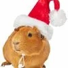 Frisco Holiday Guinea Pig Santa Hat -The Frisco Store 276184 MAIN. SY630 V1631302641