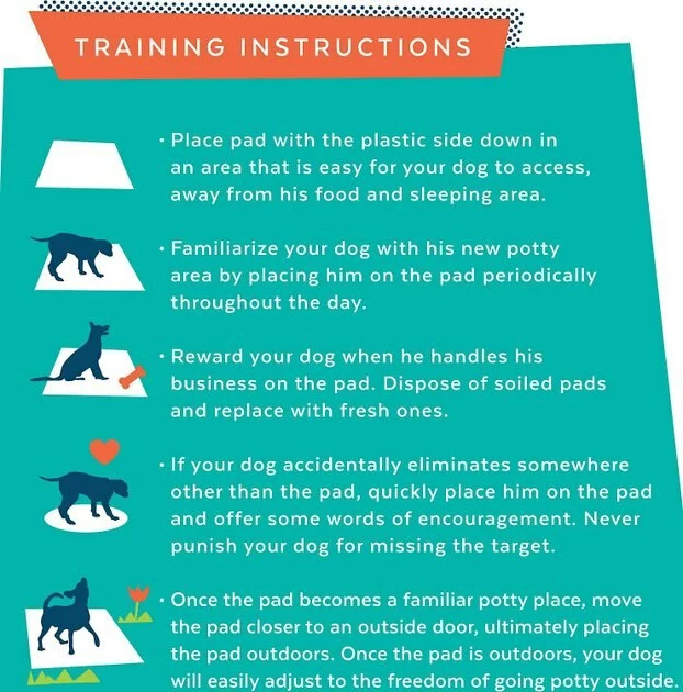Frisco Training & Potty Pads, 22-in x 23-in, 150 count, Unscented & Frisco Extra Large Training & Potty Pads, 28-in x 34-in, 40 count, Unscented 11 Frisco Training & Potty Pads, 22-in x 23-in, 150 count, Unscented & Frisco Extra Large Training & Potty Pads, 28-in x 34-in, 40 count, Unscented - Image 9