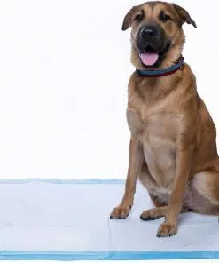 Frisco Giant Training & Potty Pads, 27.5-in x 44-in, 30 count, Unscented & Frisco Training & Potty Pads, 22-in x 23-in, 150 count, Unscented -The Frisco Store 276225 PT4. SY630 V1616192497