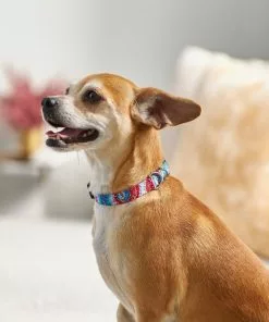 Frisco Blue Tye Dye Dog Collar -The Frisco Store 276625 PT3. SY630 V1623766221