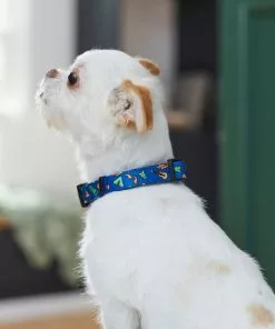 Frisco Camping Fun Dog Collar -The Frisco Store 276637 PT3. SY630 V1623766574