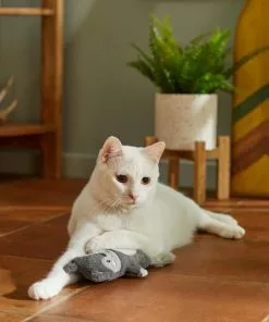 Frisco Camping Squirrel Kicker Cat Toy with Catnip -The Frisco Store 276760 PT3. SY630 V1625009108