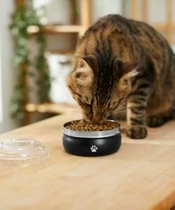 Frisco Travel Non-skid Stainless Steel Dog & Cat Bowl -The Frisco Store 277499 PT3. SY630 V1630348135