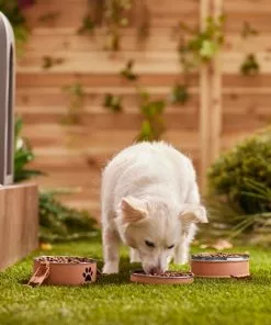 Frisco Complete Travel Stainless Steel Dog & Cat Feeder Bowl 11 Frisco Complete Travel Stainless Steel Dog & Cat Feeder Bowl -The Frisco Store 277506 PT2. SY630 V1630346239