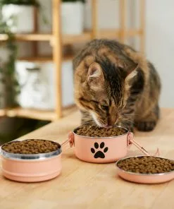 Frisco Complete Travel Stainless Steel Dog & Cat Feeder Bowl 12 Frisco Complete Travel Stainless Steel Dog & Cat Feeder Bowl -The Frisco Store 277506 PT3. SY630 V1630347802