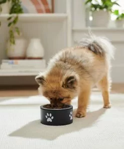 Frisco Paw Print Non-Skid Stainless Steel Dog & Cat Bowl 10 Frisco Paw Print Non-Skid Stainless Steel Dog & Cat Bowl -The Frisco Store 277541 PT2. SY630 V1630346506
