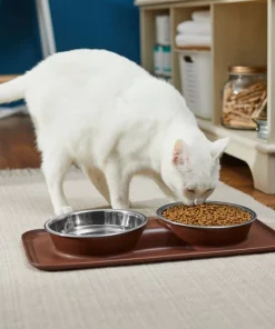 Frisco Double Stainless Steel Dog & Cat Bowl with Silicone Mat -The Frisco Store 277551 PT3. SY630 V1630348104