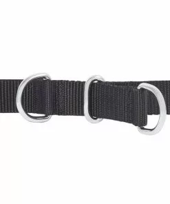 Frisco Basic No Pull Harness -The Frisco Store 277871 PT2. SY630 V1629758686