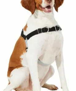 Frisco Basic No Pull Harness -The Frisco Store 277871 PT3. SY630 V1629755870