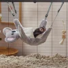 Frisco Small Pet Hanging Koala Bed -The Frisco Store 278140 MAIN. SY630 V1629465091