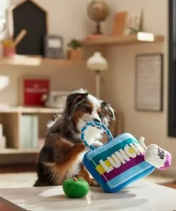 Frisco Lunchbox with Juice & Apple Plush with Rope Squeaky Dog Toy, 3 count -The Frisco Store 279427 PT3. SY630 V1628191372