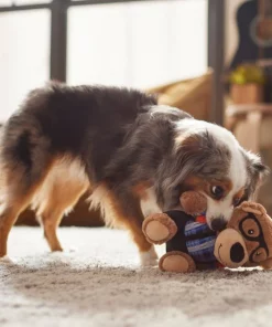 Frisco Bear Plush Squeaky Dog Toy -The Frisco Store 279433 PT3. SY630 V1628191002