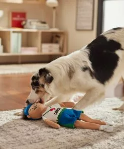 Frisco Gym Teacher Plush Squeaky Dog Toy 7 Frisco Gym Teacher Plush Squeaky Dog Toy -The Frisco Store 279447 PT3. SY630 V1628191161