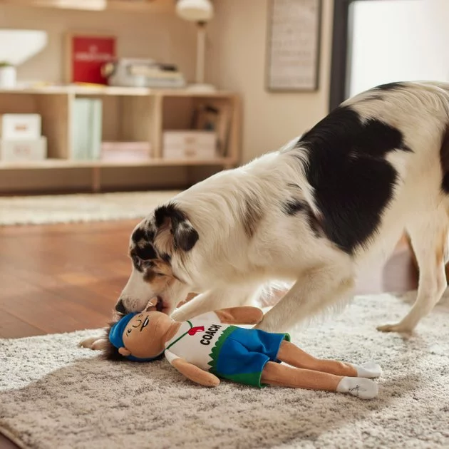 Frisco Gym Teacher Plush Squeaky Dog Toy 5 Frisco Gym Teacher Plush Squeaky Dog Toy - Image 3