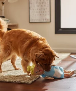 Frisco School Lunch Lady Plush Squeaky Dog Toy -The Frisco Store 279449 PT3. SY630 V1628191320