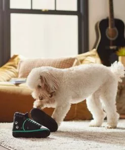 Frisco Sneakers Plush Squeaky Dog Toy, 2 count -The Frisco Store 279453 PT3. SY630 V1628191213