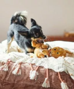 Frisco Kangaroo & Joey Plush Squeaky Dog Toy, 2 count -The Frisco Store 285601 PT3. SY630 V1629725095