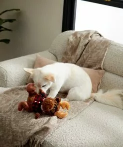 Frisco Hipster Moose Plush Squeaky Dog Toy -The Frisco Store 285603 PT3. SY630 V1629725389