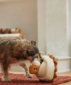 Frisco Grandma Sophie's Pumpkin Pie 2-in-1 Plush Squeaky Dog Toy -The Frisco Store 285607 PT3. SY630 V1629725085