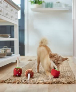 Frisco Candy Apples Plush Squeaky Dog Toy, 3 count -The Frisco Store 285621 PT3. SY630 V1629724890