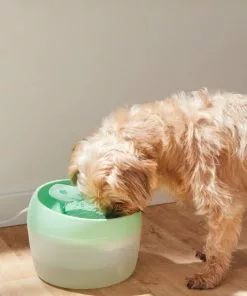 Frisco Whimsical Leaf Round Dog & Cat Fountain, 50-oz, Mint Green -The Frisco Store 285758 PT4. SY630 V1623428580