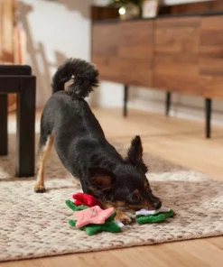 Frisco Flowers Plush Squeaky Dog Toy, 3 count -The Frisco Store 287161 PT3. SY630 V1632773103