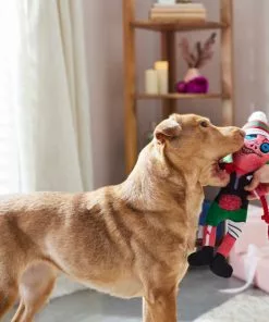 Frisco Zombie Plush with Rope Squeaky Dog Toy -The Frisco Store 287221 PT3. SY630 V1632776815