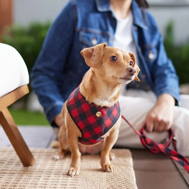 Frisco Fashion Over-The-Head Harness, Buffalo Plaid 7 Frisco Fashion Over-The-Head Harness, Buffalo Plaid - Image 5