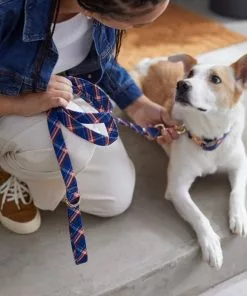 Frisco Fashion Leash, Brown Plaid -The Frisco Store 287491 PT8. SY630 V1632317010