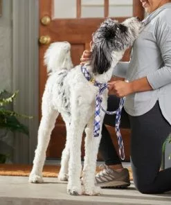 Frisco Fashion Leash, Pink Plaid -The Frisco Store 287499 PT8. SY630 V1632316895