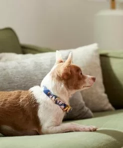 Frisco Fashion Collar, Pink Plaid -The Frisco Store 287510 PT8. SY630 V1632316374