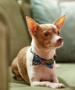 Frisco Fashion Bow, Tropical Floral -The Frisco Store 287529 PT8. SY630 V1632315568