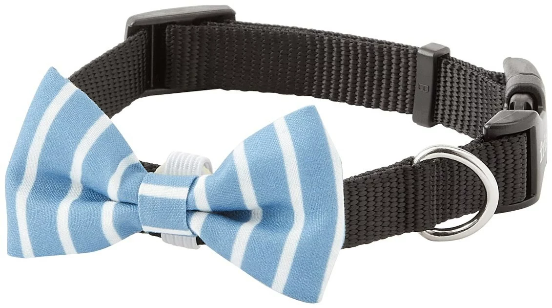 Frisco Fashion Bow, Striped 6 Frisco Fashion Bow, Striped - Image 4