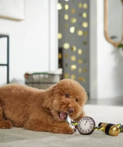 Frisco New Year's Eve Midnight Countdown Plush with Rope Squeaky Dog Toy -The Frisco Store 288478 PT3. SY630 V1638289625